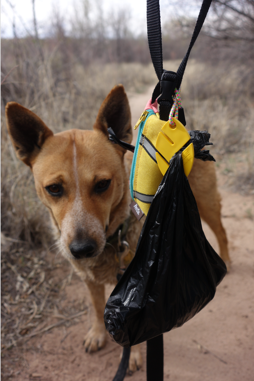 Set of 3 Tagalongs - Hands Free Poop Bag Carry Clip