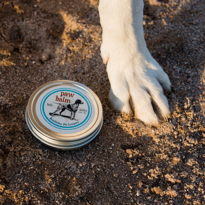 Natural Dog Remedies for Dry and Cracked Paws and Pads