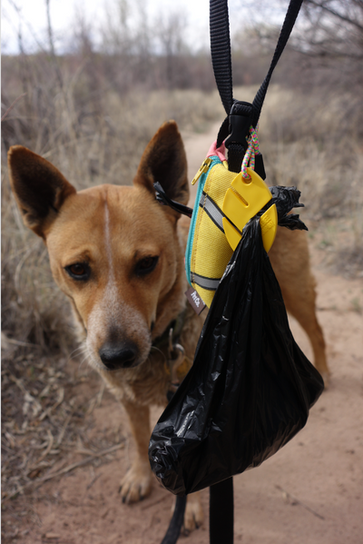 Dog poop carry 2024 bag